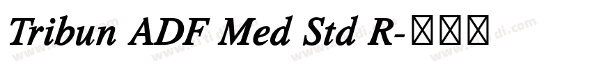 Tribun ADF Med Std R字体转换 Tribun ADF Med Std R字体转换